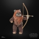 Star Wars Episode VI 40th Anniversary Black Series - Figurine Wicket 15 cm