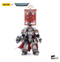 Warhammer 40k - Figurine 1/18 Grey Knights Castellan Crowe 12 cm