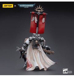 Warhammer 40k - Figurine 1/18 Grey Knights Castellan Crowe 12 cm