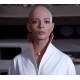 Star Trek, le film - Réplique 1/1 Ilia Sensor And Command Insignia Limited Edition Set