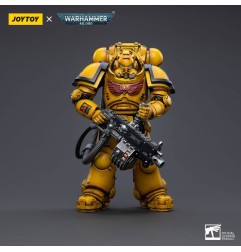 Warhammer - 40k figurine 1/18 Imperial Fists Heavy Intercessors 01 13 cm