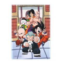 Dragon Ball - Aimant Tournament