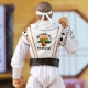 Power Rangers X Cobra Kai Ligtning Collection - Figurine Morphed Daniel LaRusso White Crane Ranger 15 cm