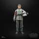 Star Wars : The Mandalorian Black Series - Figurine Din Djarin (Morak) 15 cm