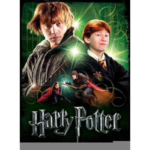Harry Potter - Poster Puzzle Ron Weasley