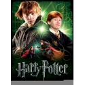 Harry Potter - Poster Puzzle Ron Weasley