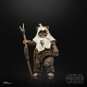 Star Wars Episode VI 40th Anniversary Black Series - Figurine Paploo 15 cm