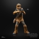 Star Wars Episode VI 40th Anniversary Black Series - Figurine Chewbacca 15 cm