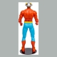 DC Multiverse - Figurine The Flash (Jay Garrick) 18 cm