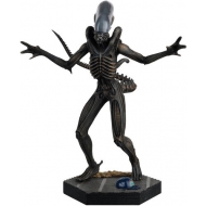The Alien vs. Predator Collection - Statuette 1/16 Xenomorph Drone 15 cm
