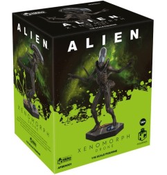Alien vs. Predator - The  Collection statuette 1/16 Xenomorph Drone 15 cm