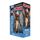 Gremlin - Statuette résine 1/16 Stripe 22 cm