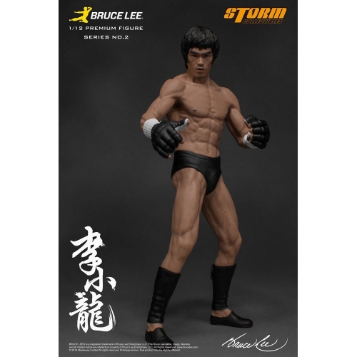 Bruce Lee - Statuette 1/12 The Martial Artist Series No. 2 (Iconic MMA Outfit) 19 cm