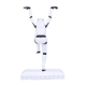 Original Stormtrooper - Figurine Crane Kick Stormtrooper 20 cm