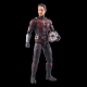 Ant-Man et la Guêpe : Quantumania Marvel Legends - Figurine Cassie Lang BAF : Ant-Man 15 cm