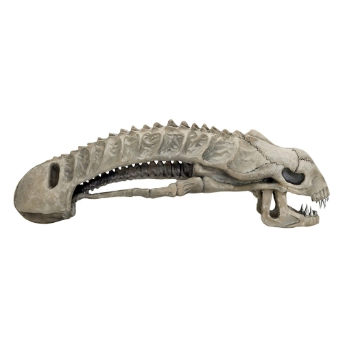 Aliens - Réplique mousse Xenomorph Skull 91 cm