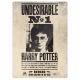 Harry Potter - Panneau métal Undesirable No. 1