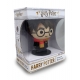 Harry Potter - Lampe d'ambiance Mood Light Harry Kawaii