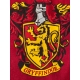 Harry Potter - Serviette de bain Quidditch 150 x 75 cm