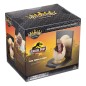 Jurassic Park - Statuette Toyllectible Treasure Raptor Egg Life Finds A Way 12 cm