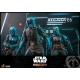 Star Wars The Mandalorian - Figurine 1/6 Axe Woves 30 cm