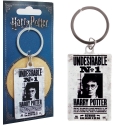 Harry Potter - Porte-clés métal Undesirable No. 1 6 cm