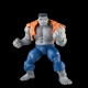 Avengers Marvel Legends - Figurines Gray Hulk & Dr. Bruce Banner 15 cm