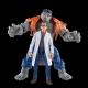 Avengers Marvel Legends - Figurines Gray Hulk & Dr. Bruce Banner 15 cm