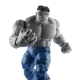 Avengers Marvel Legends - Figurines Gray Hulk & Dr. Bruce Banner 15 cm