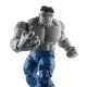 Avengers Marvel  Legends - Figurines Gray Hulk & Dr. Bruce Banner 15 cm