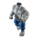 Avengers Marvel Legends - Figurines Gray Hulk & Dr. Bruce Banner 15 cm