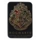 Harry Potter - Jeu de cartes à jouer Hogwarts