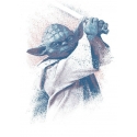 Star Wars - Poster en métal Successors Collection Yoda 32 x 45 cm