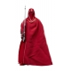 Star Wars Episode VI 40th Anniversary Black Series - Figurine Emperor's Royal Guard 15 cm