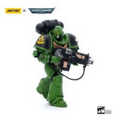 Warhammer - 40k figurine 1/18 Salamanders Intercessors Brother Haecule 12 cm