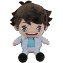 Haikyu!! - Peluche Oikawa Aoba Johsai Jacket Season 2 18 cm