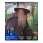 Le Seigneur des Anneaux - Movie Maniacs Gandalf 18 cm