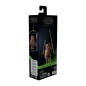 Star Wars Episode VI Black Series - Figurine Wicket 15 cm