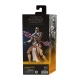 Star Wars : The Clone Wars Black Series - Figurine Magnaguard 15 cm