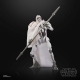 Star Wars : The Clone Wars Black Series - Figurine Magnaguard 15 cm