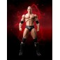 Catch - WWE figurine S.H. Figuarts The Rock 16 cm