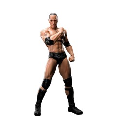 Catch - WWE figurine S.H. Figuarts The Rock 16 cm