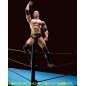 Catch - WWE figurine S.H. Figuarts The Rock 16 cm