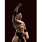 Catch - WWE figurine S.H. Figuarts The Rock 16 cm