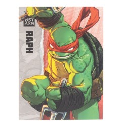 Les Tortues Ninja - Figurine BST AXN Raphael (IDW Comics) 13 cm