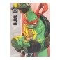 Les Tortues Ninja - Figurine BST AXN Raphael (IDW Comics) 13 cm