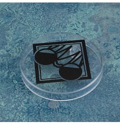 Jujutsu Kaisen - Figurine Nendoroid Satoru Gojo: Tokyo Jujutsu High School Ver. 10 cm