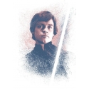 Star Wars - Poster en métal Successors Collection Luke Skywalker 32 x 45 cm