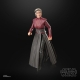 Star Wars : Ahsoka Black Series - Figurine Morgan Elsbeth 15 cm