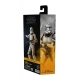 Star Wars : The Clone Wars Black Series - Figurine Phase II Clone Trooper 15 cm